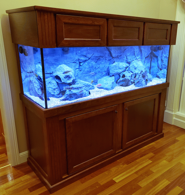 Photo of large aquarium cabinet